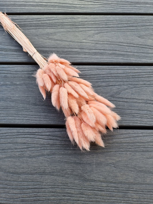 Bunny Tails Salmon Pink