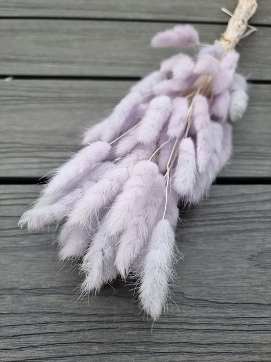 Bunny Tail Light Purple