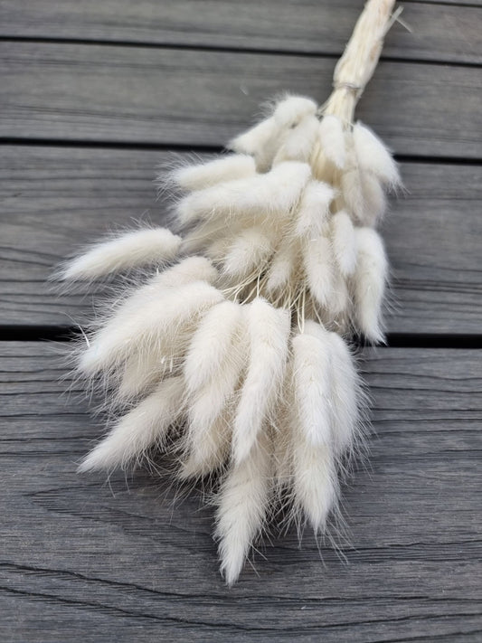 Bunny Tails Pure White
