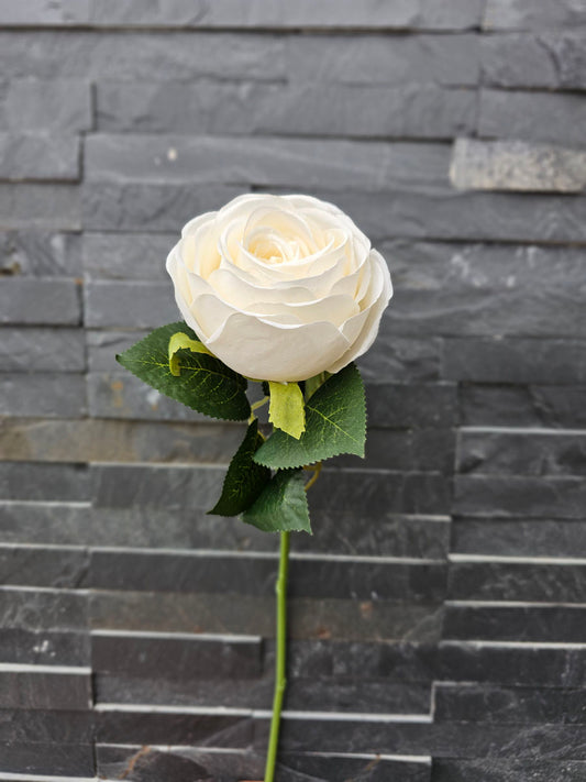 Single Rose Stem White