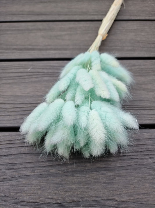 Bunny Tail Turquoise